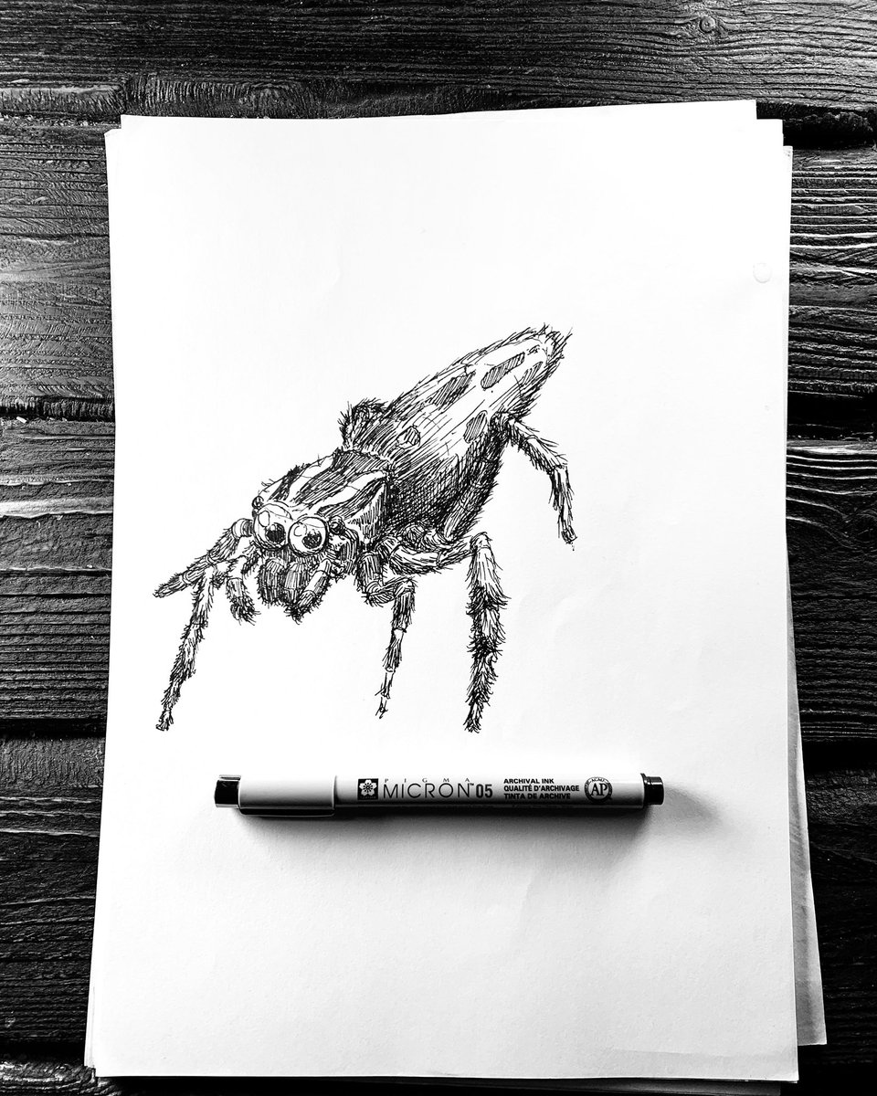 EliShulga's tweet photo. Spidy final result ☕️🙂 #drawing #penandink #ink #art https://t.co/4UFgRe41fw