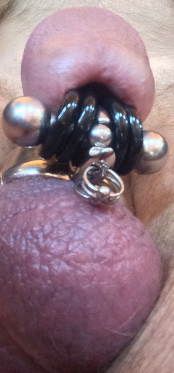 astretcher73's tweet photo. People say I have a twinkle in my eye, I think they’re right! 4, 5x14mm segment closures, 1, 6mm slave ring, 1, 10x25mm unity bar, #piercedcock #pa #PApiercing #stretchedPA #bodymods #cbt #bdsm #bodypiercing #genitalpiercing #monsterPA #bwc #lowhangers #ballstretcher #ballweights https://t.co/rJeZYkBALe