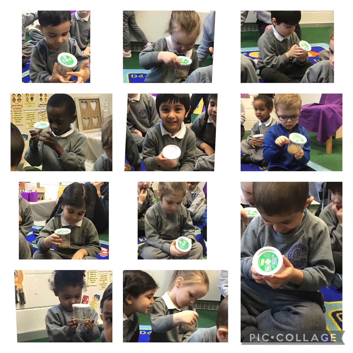 HolyFamilyL8_FS's tweet photo. We are intrigued by the arrival of our #caterpillars from @insectlore and are excited to watch them grow and change! Over the weekend they have already grown so much! #observationovertime @HolyFamilyScie1 https://t.co/dUk5YrDxOw