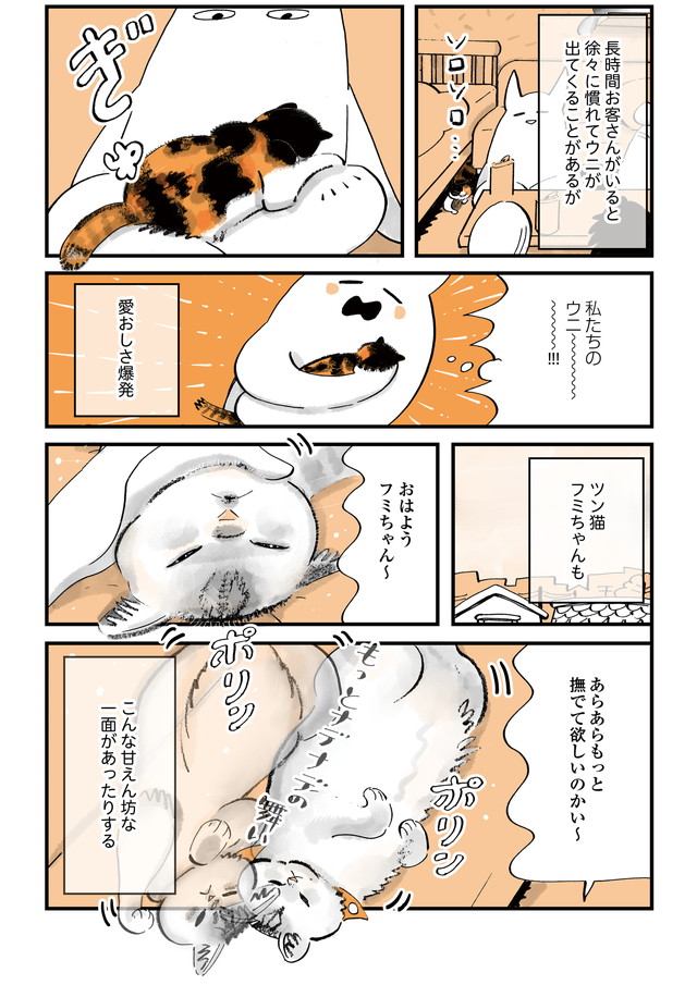 (2/2) 