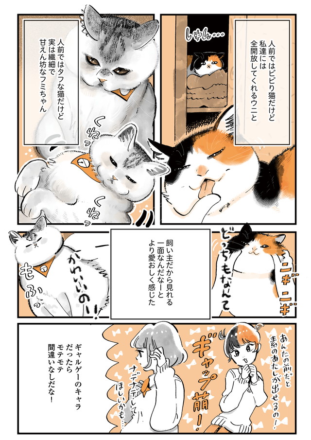 (2/2) 