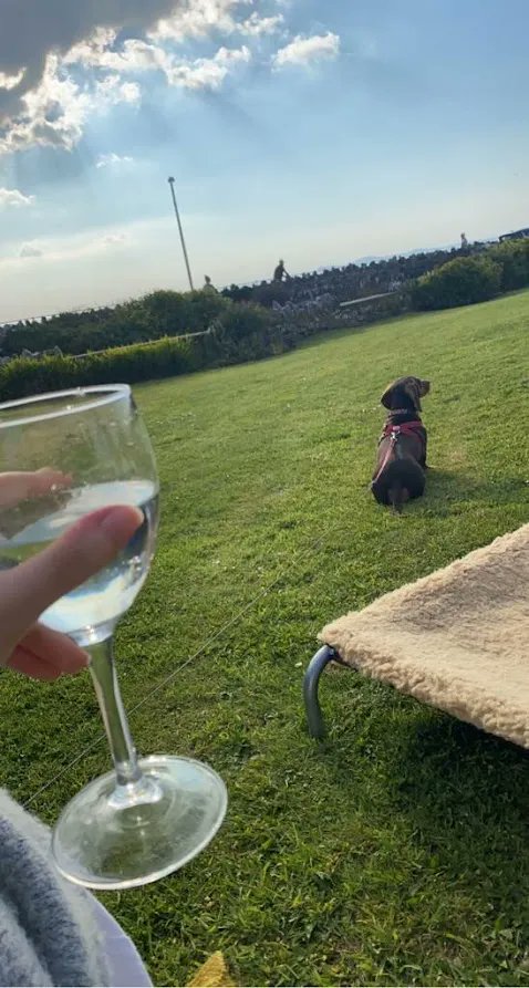 Rocksdrift's tweet photo. There can be no finer way to enjoy beautiful Broad Haven. Guests staying in all of our apartments are welcome to use the gardens.
#Wine #Dog #Garden
#VisitPembrokeshire #VisitWales #Dogfriendy #Dogfriendlyholidays #Petfriendly https://t.co/0nLXG1qkdi