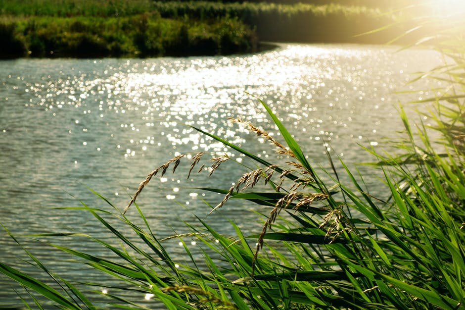 CIPHE's tweet photo. Did you know that over a quarter of a million homes in England & Wales are pouring their dirty water straight into our rivers and streams? Misconnected drains damage wildlife and put our health at risk. Find out more: https://t.co/FqDOxkfq5q
#ConnectRight #PlumbingMisconnections https://t.co/kl43uE31T0