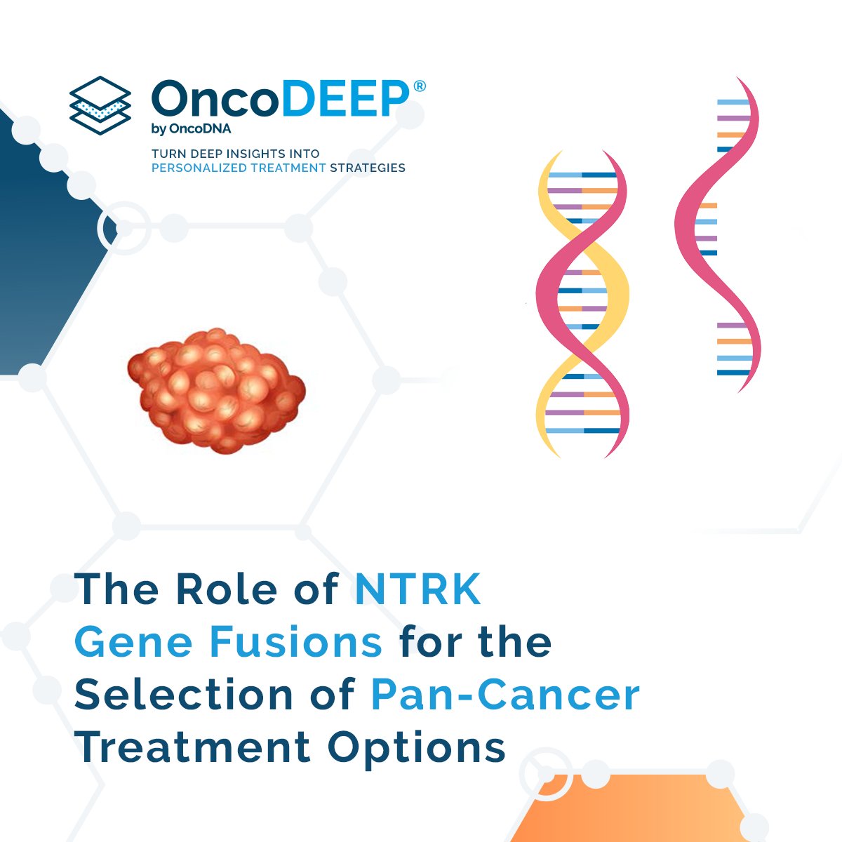 OncoDNA's tweet photo. Why test cancer patients for #NTRK gene fusions? 

With #precisionmedicine, there now exist pan-cancer treatments that target #NTRK. At OncoDNA, our #OncoDEEP test utilizes #DNAseq #RNAseq to detect patients that may benefit from these TRK inhibitors.

https://t.co/LRetoyOFhw https://t.co/0bQnVNcdvR
