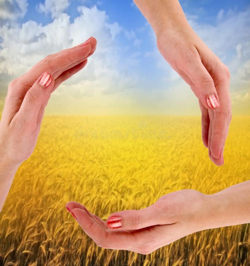 HiltonRatcliffe's tweet photo. Hands against tyranny. ❤️Ukraine ❤️ #handsagainsttyranny https://t.co/nqmXgcLwac