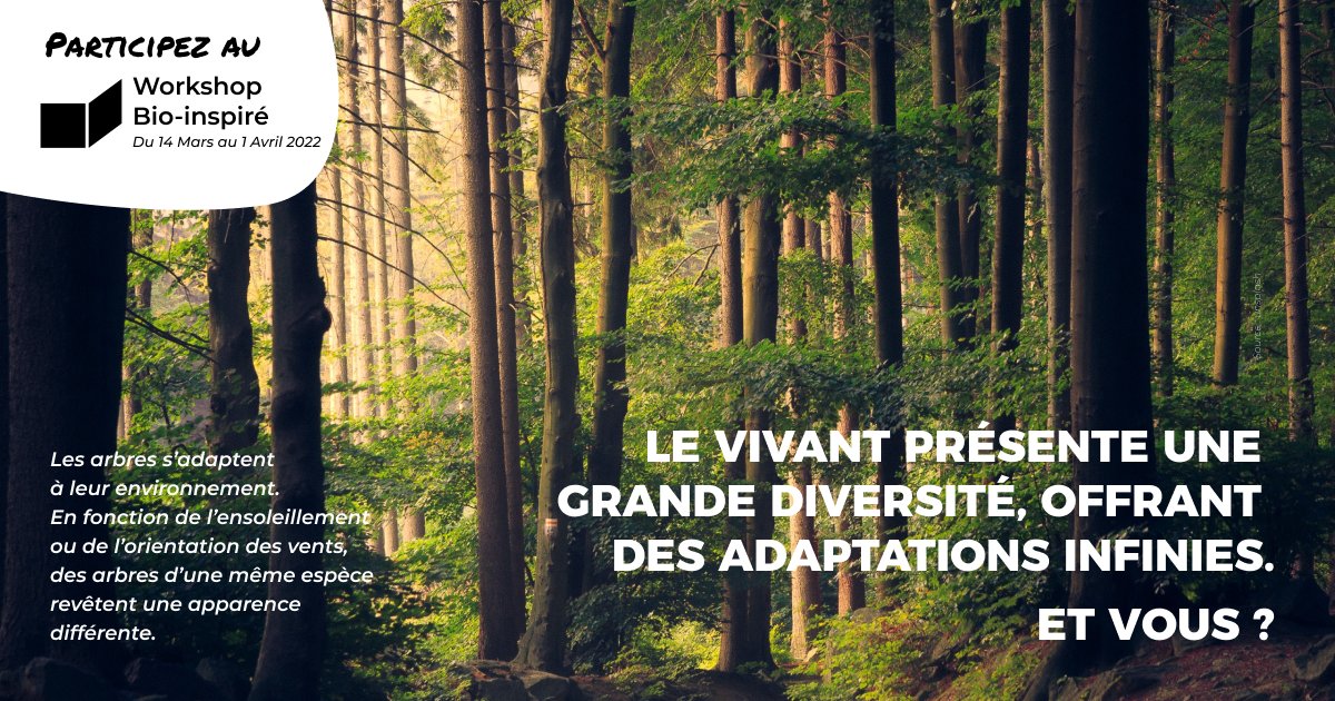 creamontblanc's tweet photo. Le #WorkshopBioInspiration est lancé 🎉🌱🐜

Pendant 3 semaines, les principes du vivant vont inspirer l' #InnovationPublique de @grandlyon et nous sommes mobilisés comme ressources pour les équipes 👭👬👫🧑‍🤝‍🧑 

Venez à la restitution vendredi 1er avril 👇🐟https://t.co/CmEhqElhvZ https://t.co/UOvXlKBg3Z