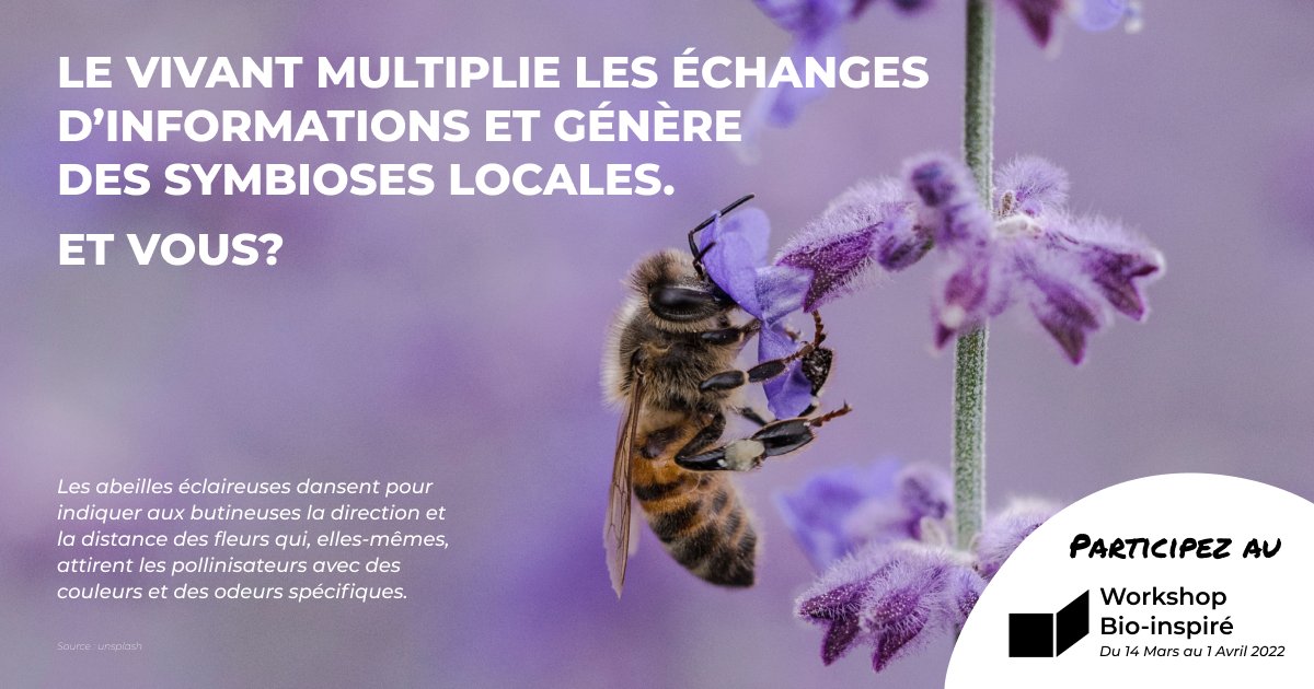 Le #WorkshopBioInspiration est lancé 🎉🌱🐜

Pendant 3 semaines, les principes du vivant vont inspirer l' #InnovationPublique de <a href="/grandlyon/">Métropole de Lyon</a> et nous sommes mobilisés comme ressources pour les équipes 👭👬👫🧑‍🤝‍🧑 

Venez à la restitution vendredi 1er avril 👇🐟form.typeform.com/to/xivFeXJs