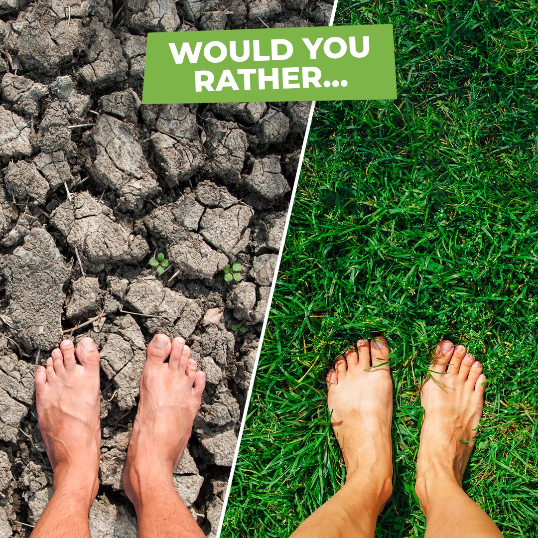 Meenuarya09's tweet photo. And the choice is always ours? 
Save soil ..or save soil??
MINE IS #SAVESOIL 
#saveplanet https://t.co/c5NYkf2p3Q