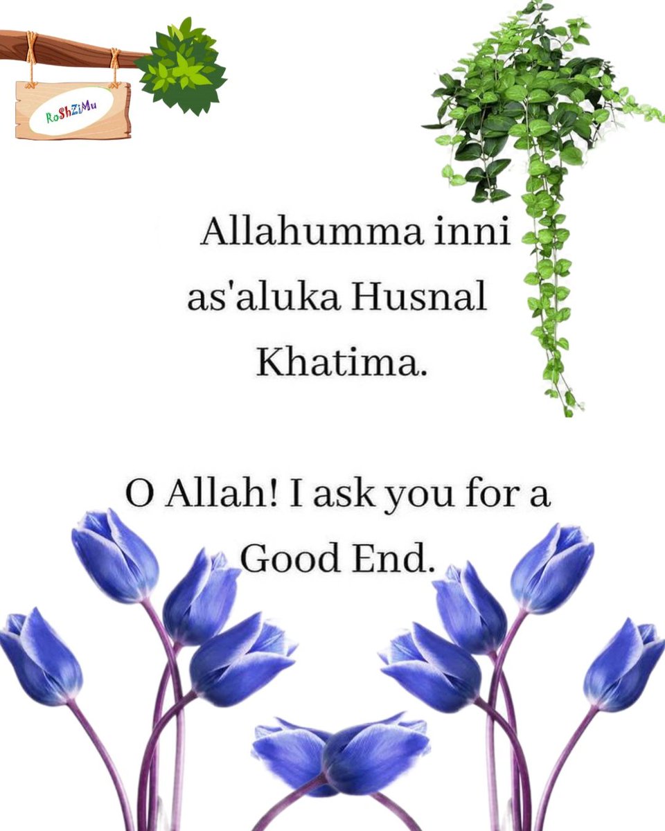 RoShZiMu's tweet photo. @QuranAndHadithh https://t.co/RQsrg7CWcB