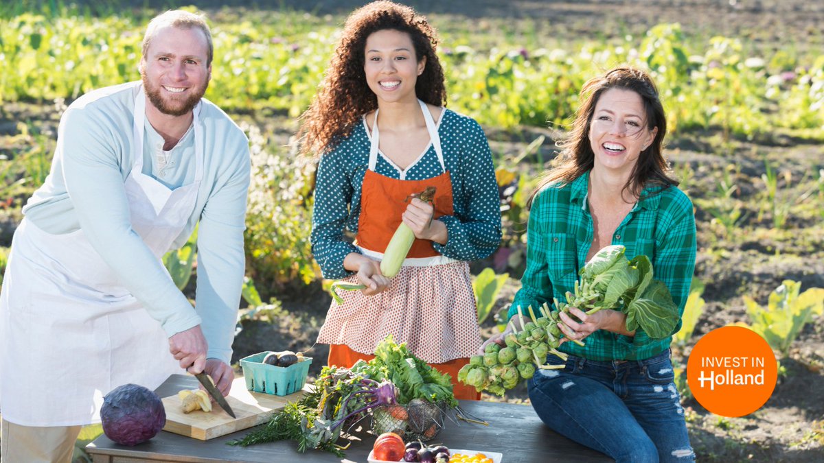 From farm to fork the Netherlands is utilizing new #technology to sustainably house and grow first-rate #agrifood companies.  

investinholland.com/doing-business…