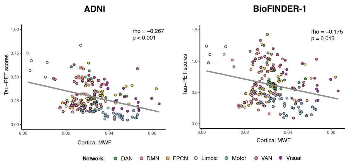 Anna Rubinski (@annarubinski) on Twitter photo Very happy to share our latest preprint, showing that higher levels of #myelin are associated with higher resistance against #tau pathology in #Alzheimers disease.
Many thanks to <a href="/MichaelEwers12/">Michael Ewers</a> <a href="/nfranzme/">Nico Franzmeier</a> <a href="/biofinder_study/">BioFINDER</a> and others!
tinyurl.com/bdd455xv Very happy to share our latest preprint, showing that higher levels of #myelin are associated with higher resistance against #tau pathology in #Alzheimers disease.
Many thanks to <a href="/MichaelEwers12/">Michael Ewers</a> <a href="/nfranzme/">Nico Franzmeier</a> <a href="/biofinder_study/">BioFINDER</a> and others!
tinyurl.com/bdd455xv