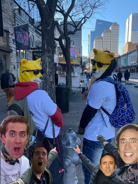 Clawslogan35 tweet media