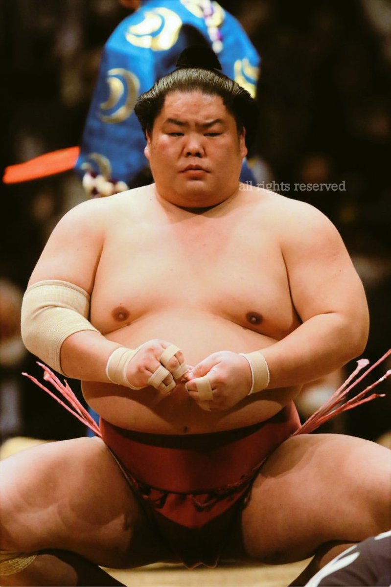 可愛いクリスマスツリーやギフトが 大栄翔関 反物 大相撲 相撲 武道 Ornamentlove Com
