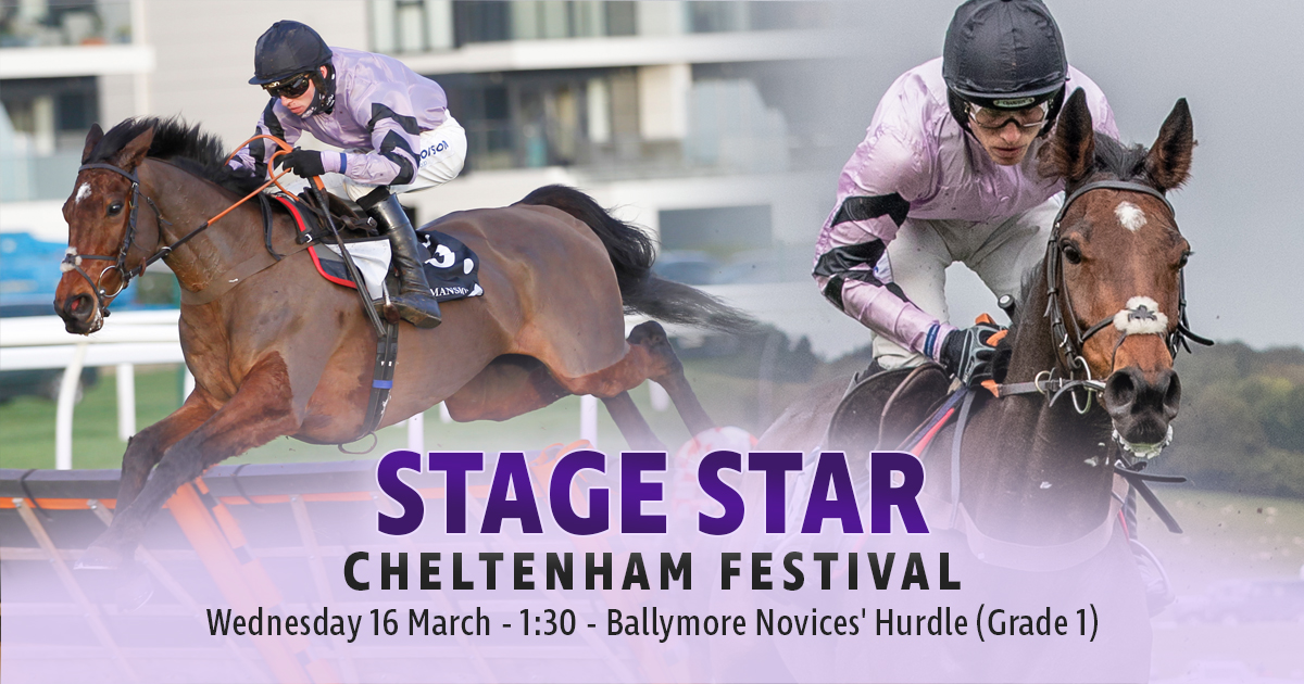 ownersgroupuk's tweet photo. Stage Star is declared at the Cheltenham Festival!⭐️ He runs in the Grade 1 Ballymore Novices' Hurdle on Wednesday (1:30) with jockey @CobdenHarry, for his owners and trainer @PFNicholls. https://t.co/v0Lrl3HMFP #OwnersGroup #StageStar #CheltenhamFestival https://t.co/s9wi7ZUPkM