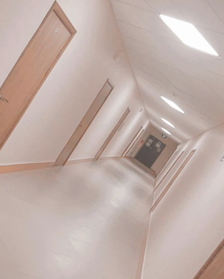 _K_R_Y_P_T_O's tweet image. i SHOULD HAVE BROUGHT @ SKATEBOARD 4 Z ZOOMiES DOWN Z HALLWAY...HURRY UP #altcoin #biometrics #bitcoin #IoLT #kerberos #krypto #mining #servers #surf #technology