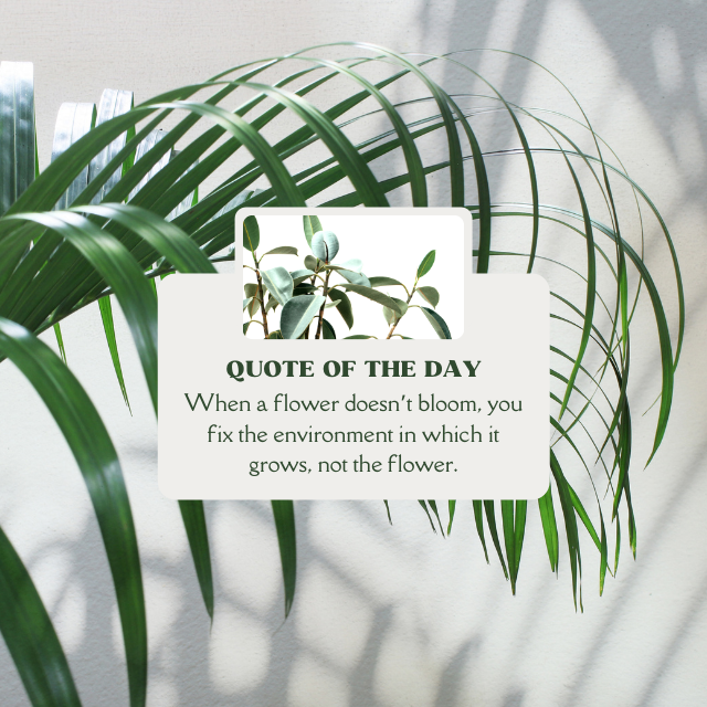 Morning motivation for you. Have a great day 😊🌼

#morning #motivation #morningmotivation #morningvibes #quotes #quoteoftheday #quotesdaily #insurancebroker #insurance #commercialinsurance