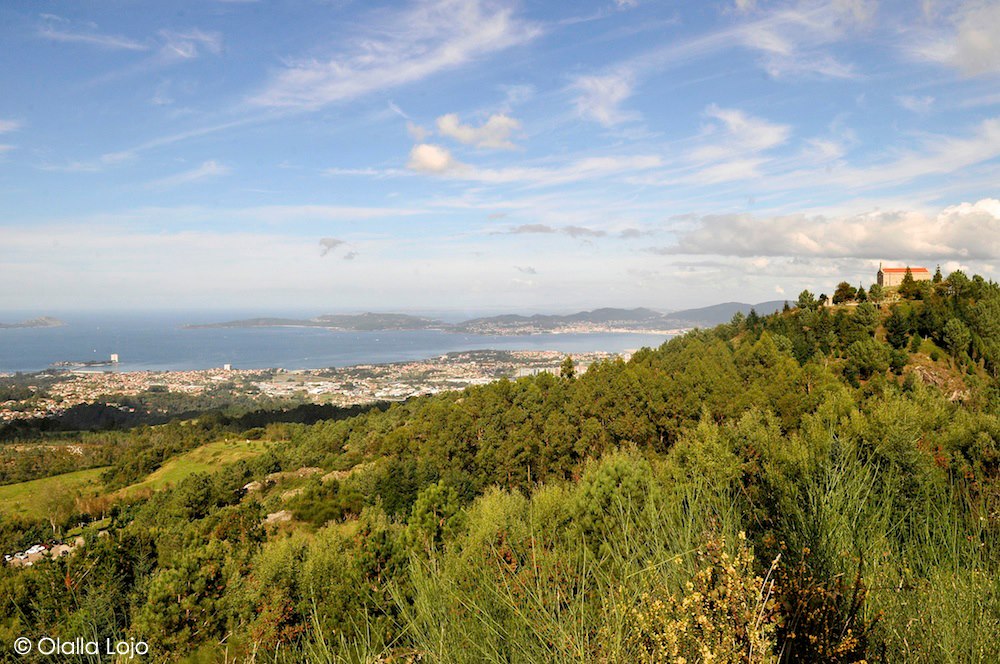 TurismodeVigo's tweet photo. ¿Por qué no empezamos la semana con una caminata por los infinitos montes de Vigo ?🚶‍♀️🚶🌳
Vigo pone a tu disposición 705.460 m² de #parquesforestales para que des rienda suelta al aventurero que llevas dentro. ¡Vamos!

👉 https://t.co/HoYi2Qolyw
@turisriasbaixas @Turgalicia https://t.co/DudA3OmZqo