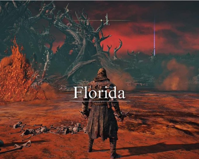 TrueSociety_ZH's tweet photo. There has never been more of a truth spoken.

I will die on this hill.

#ELDENRING #Florida https://t.co/9ysgv1vSDO