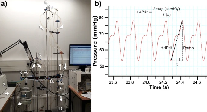 JPBY_official's tweet photo. Short-term exercise affects cardiac function ex vivo partially via changes in calcium channel levels, without influencing hypoxia sensitivity @UniTurku @HogskolanHstd #exercise #cardiac_function #SERCA #hypoxia #Langendorff #openaccess
https://t.co/gJk4cZq4iu https://t.co/Cok0n6cLsd
