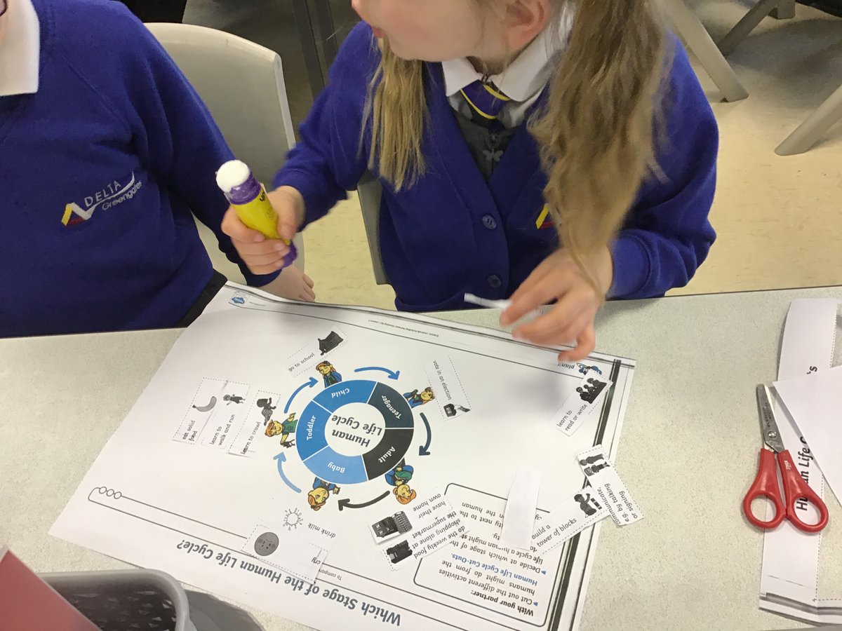 DeltaGreengates's tweet photo. #year2GG used their oracy and reasoning skills to place different milestones along the human lifecycle. Lots of great talk and collaboration on display! #TeamGGscience #TeamGGoracy https://t.co/wx9EXJNtPY