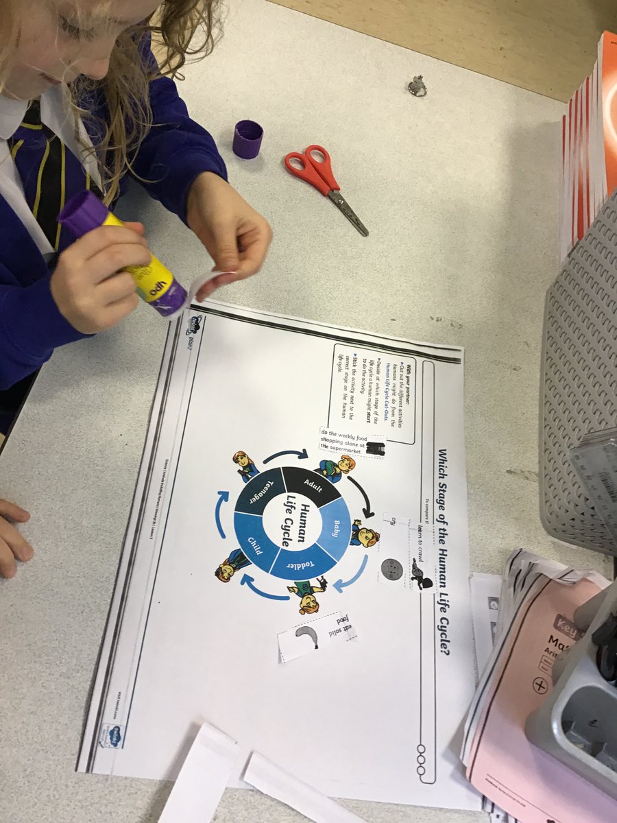DeltaGreengates's tweet photo. #year2GG used their oracy and reasoning skills to place different milestones along the human lifecycle. Lots of great talk and collaboration on display! #TeamGGscience #TeamGGoracy https://t.co/wx9EXJNtPY
