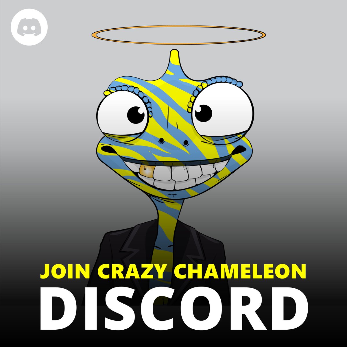_CrazyChameleon's tweet photo. EXCLUSIVE 🎁#NFTGiveaways  
ONLY FOR DISCORD MEMBERS
👉https://t.co/jNKYP8XBTk

#nft #discord #nftopensea #PolygonNFT #OpenSeaNFT  #crazychameleon https://t.co/4BKpO8ca8X