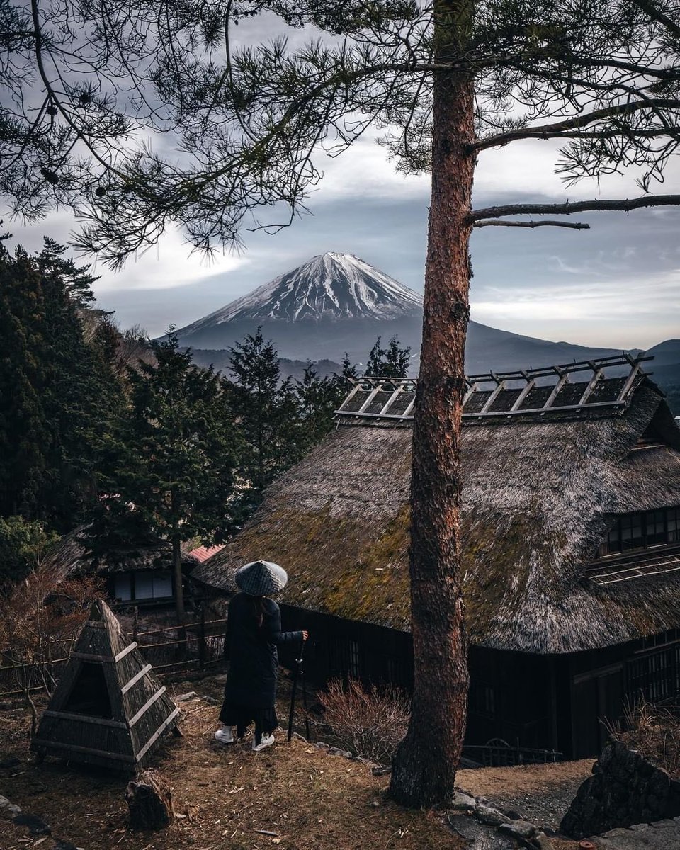 Discover Earth tweet media