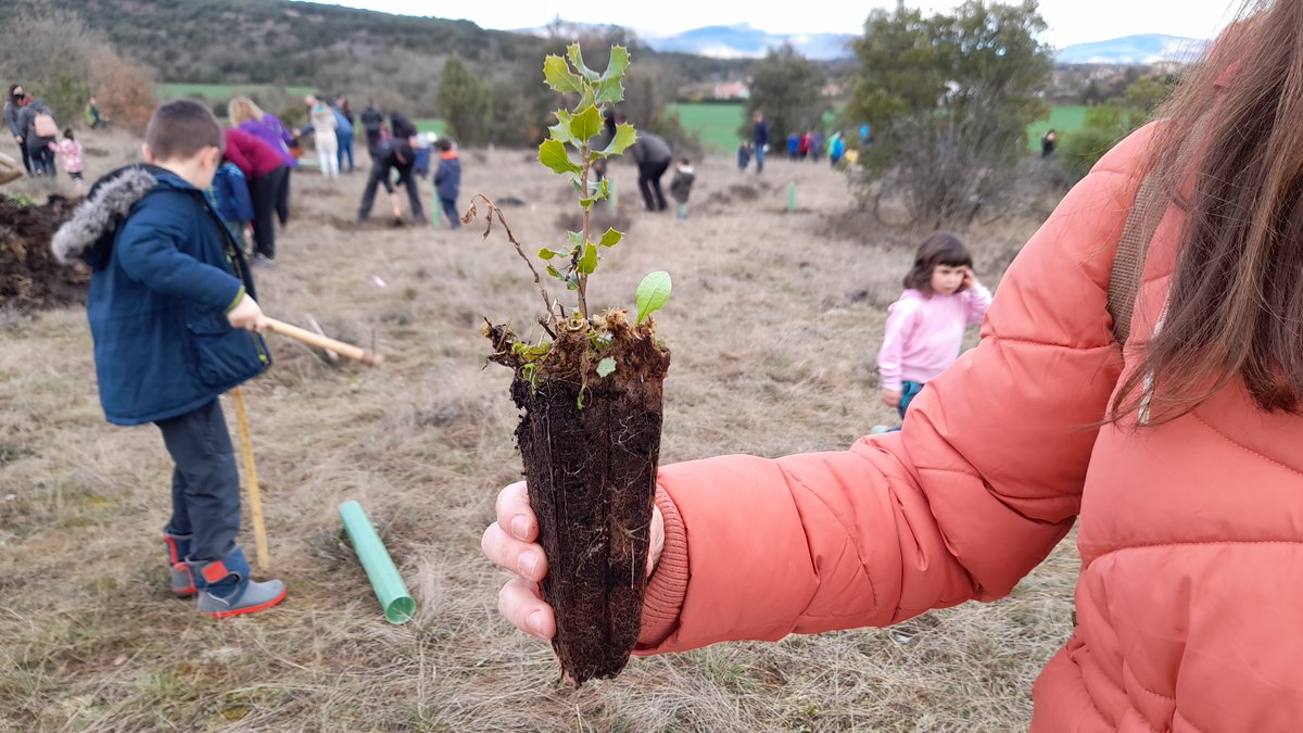 radio_vitoria's tweet photo. 🌳 Más de un centenar de alumn@s y sus familias plantaron este domingo especies autóctonas en una finca comunal del #concejo de #Apodaka
#Zigoitia #Gorbeialdea
🌈Entretenida mañana para los escolares de @San_Prudencio 👉 Acción por el clima
🎙️ Esta tarde en #Herrian @AcoaAke https://t.co/AiNObGlBt0