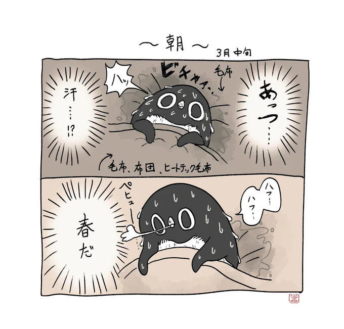 【毛布】
朝、春を自覚するアデリーペンギン。ついこの前まで雪降ってたのに…!
#アデリーペンギン 