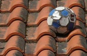 Marina BF tweet media