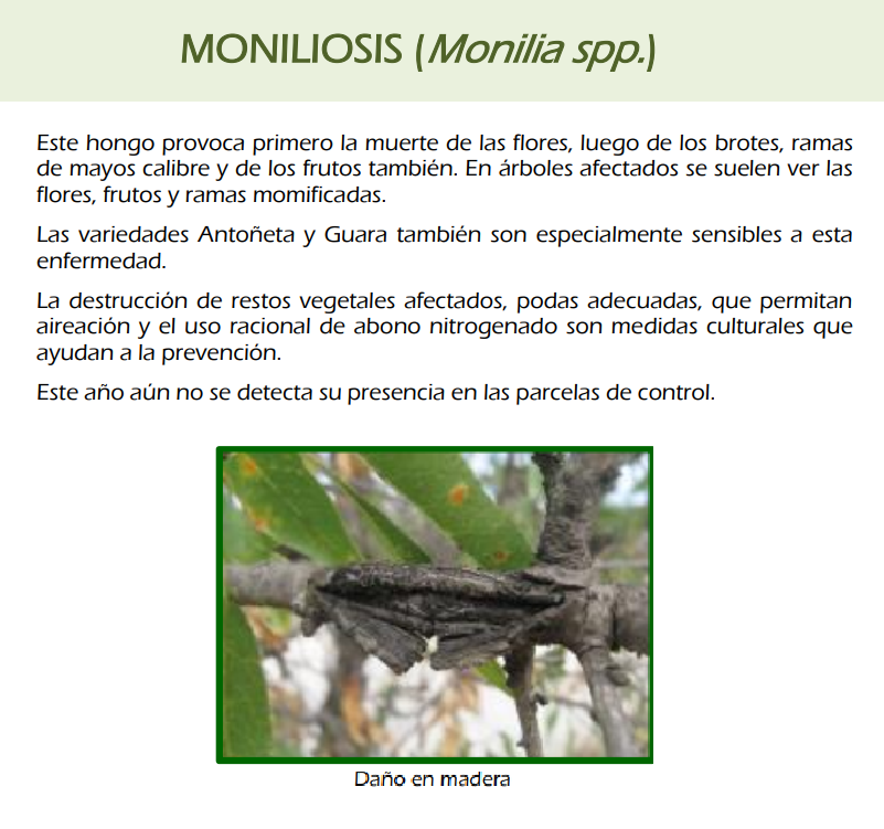 RAIF_noticias tweet media