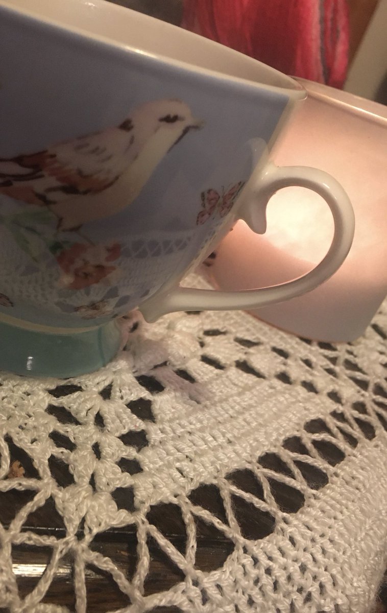 beaninavan's tweet photo. #mondaymug #forthebirds https://t.co/N796gFCTHG