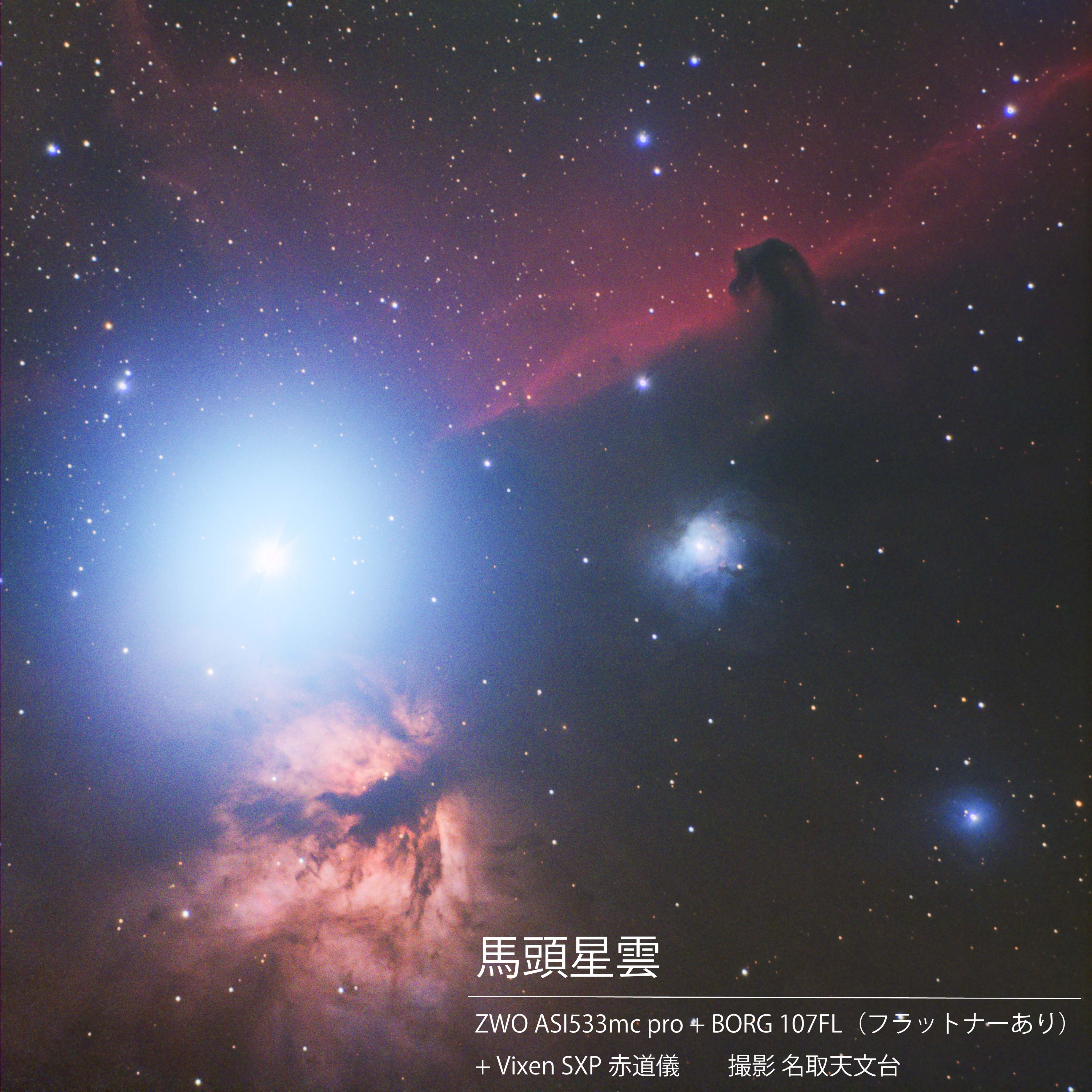 名取天文台 天体望遠鏡で撮影した馬頭星雲 右上 です 馬の形に見える暗黒星雲が背景の赤い星雲によって浮かび上がって見えます 左下の星雲は燃える木星雲で明るい星はオリオン座の3つ星の1つであるアルタニクです 名取天文台 馬 馬頭星雲