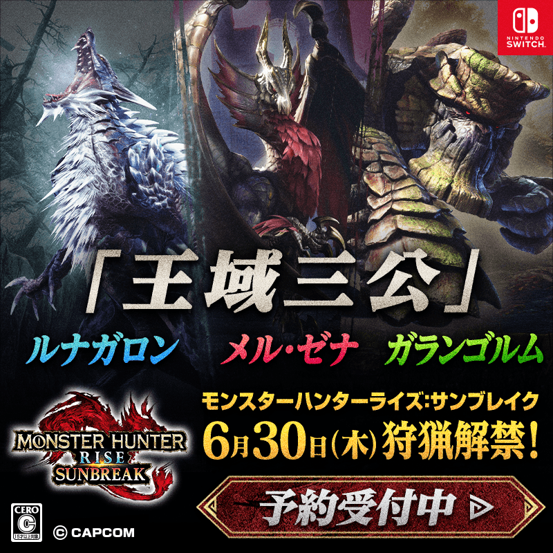 6モンスターハンターライズ Switch