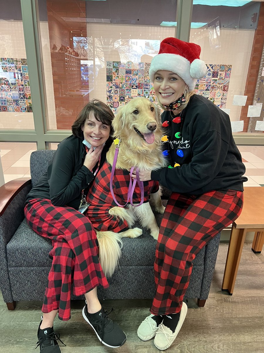 Long Meadow Hares tweet media