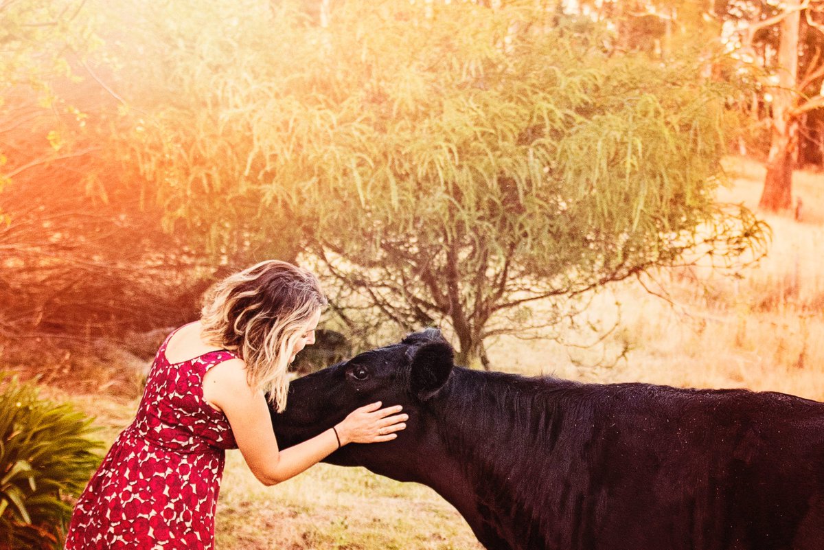 ISEDE2's tweet photo. Groundbreaking UN Resolution Connects Animal Welfare And Environmental Sustainability For The First Time https://t.co/VwAAOprHZc https://t.co/vIudEgB1Dz