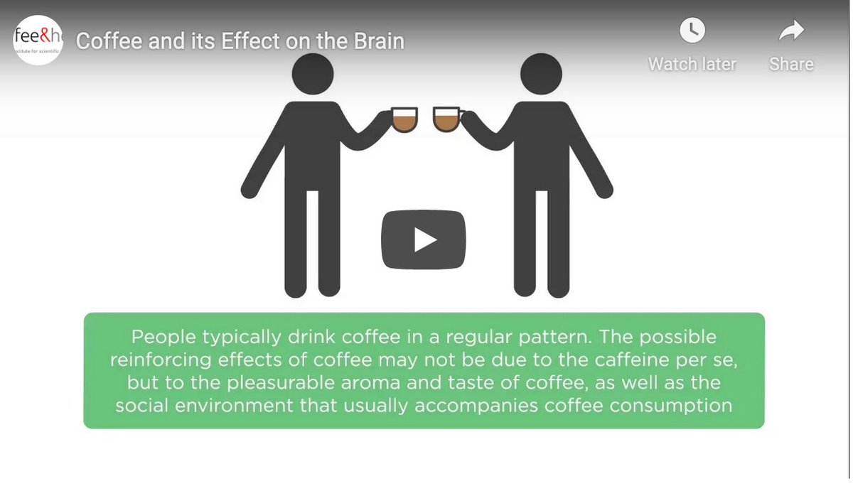 EFSA:n lausunnon mukaan 75 mg:n #kofeiini​annos lisää tarkkaavaisuutta ja valppautta. Animaatiovideo kertoo, miten #kahvi ja kofeiini vaikuttavat aivoihin – ajankohtainen teema, koska nyt vietetään #aivoviikko​a. bit.ly/3q4GNjv