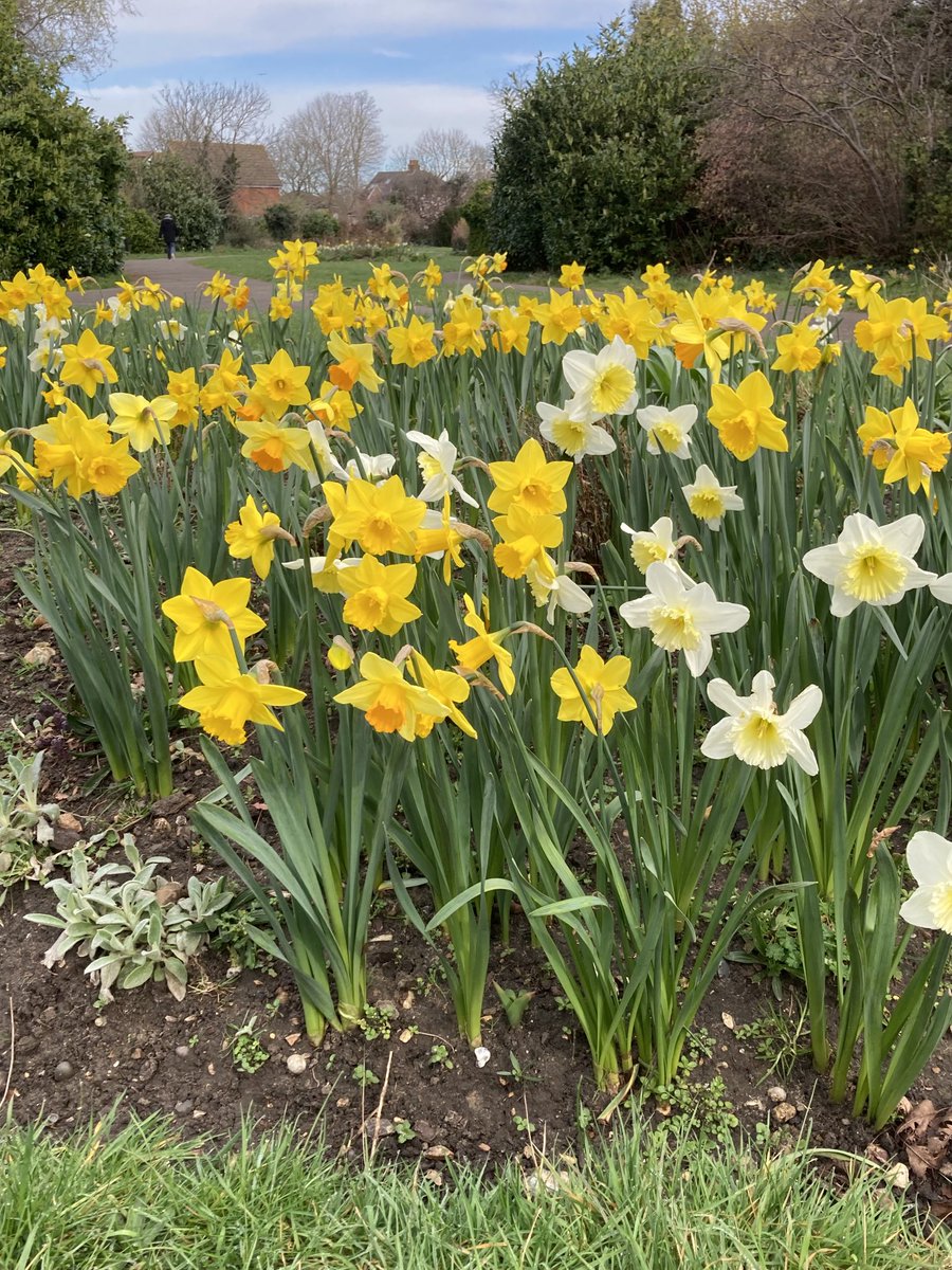 Brilliant job, Friends of Kendor Gardens Merton Park. It’s looking even better this Spring. 😊⁦<a href="/ClimateMerton/">Merton's Climate Action Group</a>⁩ ⁦<a href="/Merton_Council/">Merton Council</a>⁩ ⁦<a href="/MertonChamber/">Merton Chamber</a>⁩ #Mertonpaybackteam #spring