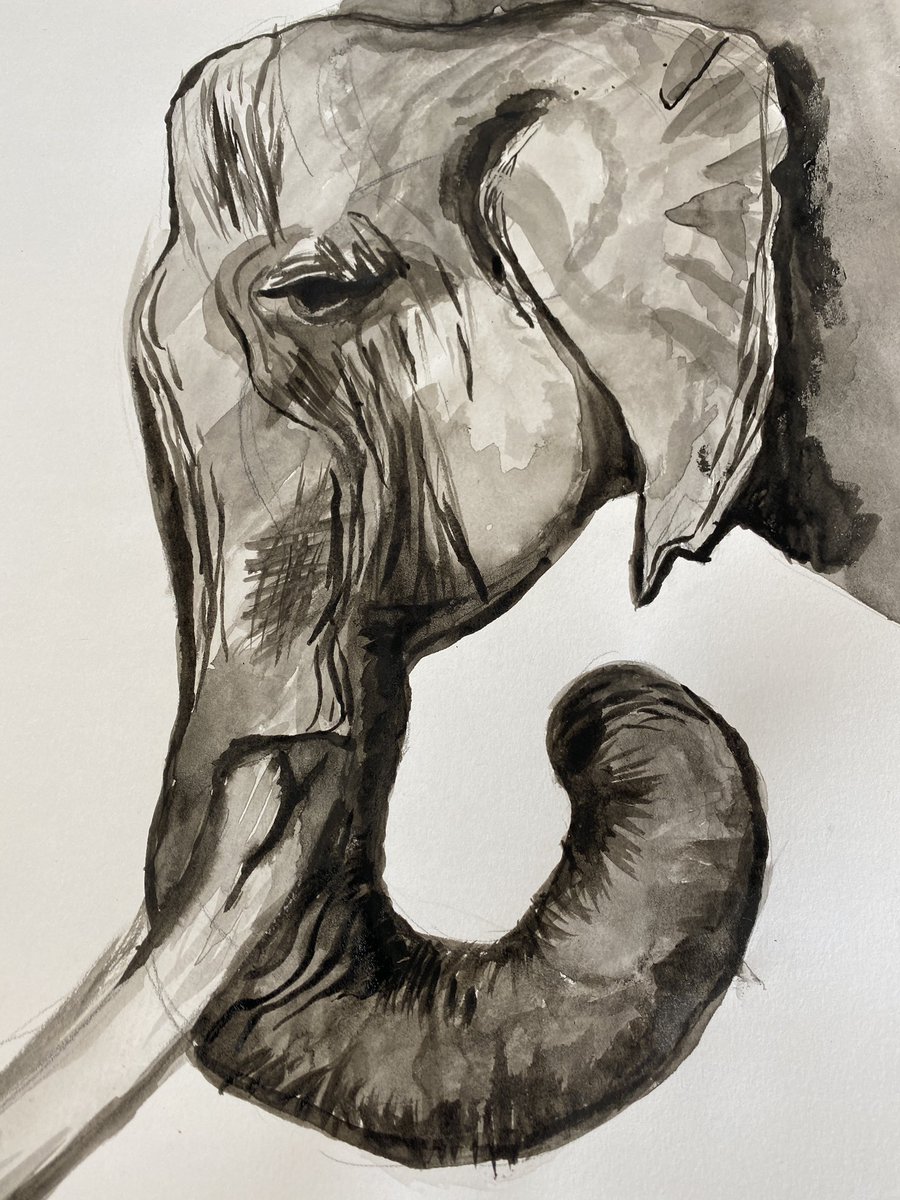 Upper Wharfedale School tweet media