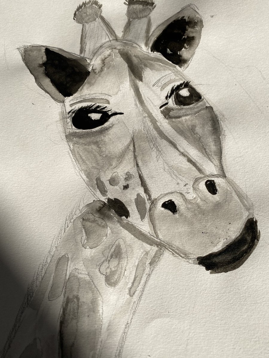 Upper Wharfedale School tweet media