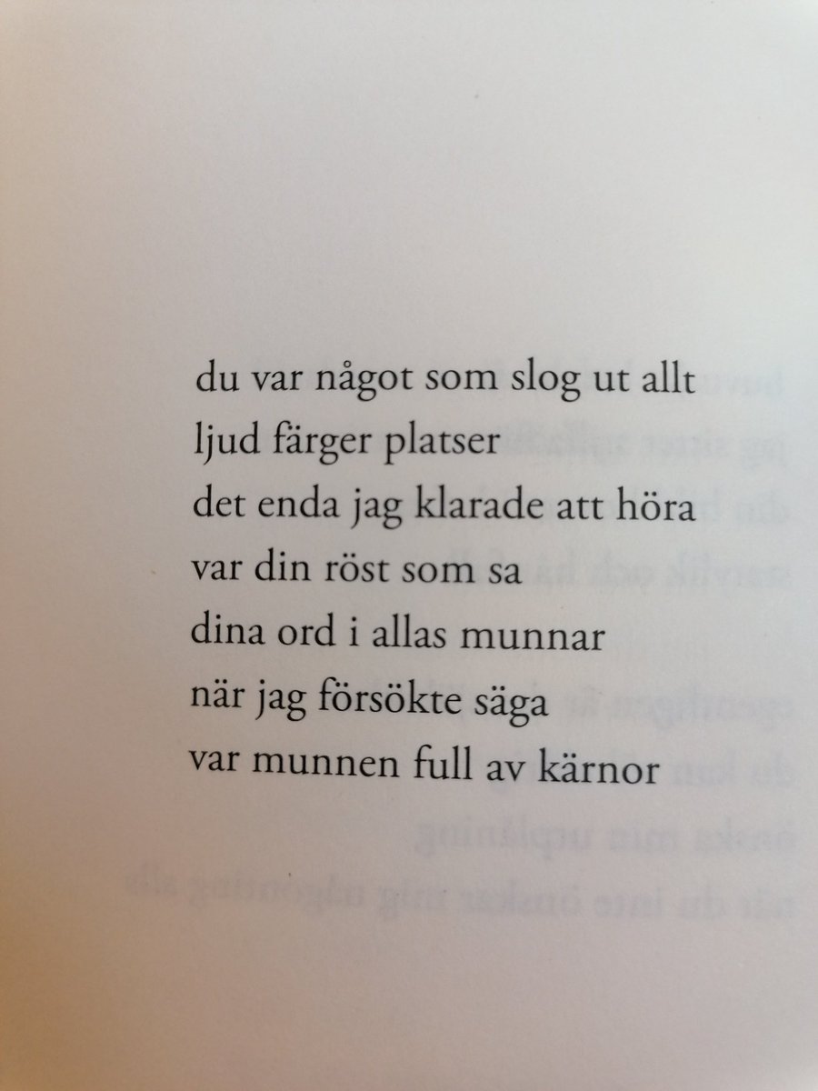 skrev en bok om brist medan jag lyssnade på Mitski