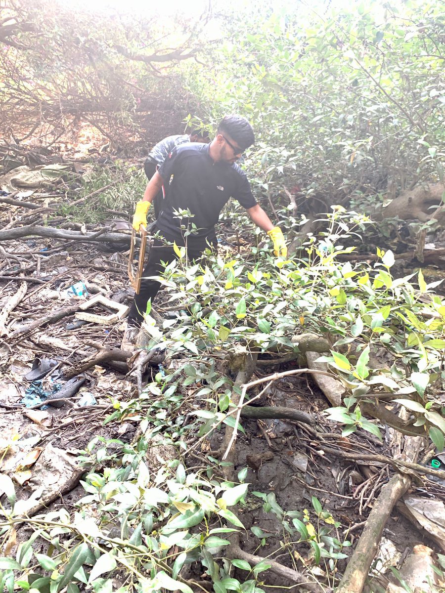 withthemforthem's tweet photo. Team WITH THEM FOR THEM  X Mangrove Marshals 
Week 62 🌏
Day: Saturday 
Vashi MANGROVE CLEANUP
(Sagar Vihar) https://t.co/2xN4qIJC2z