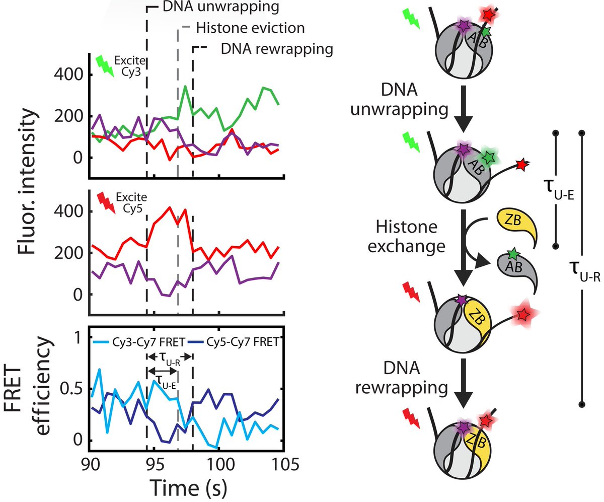 Taekjip Ha tweet media