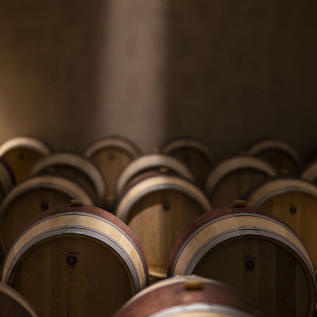FrescobaldiVini's tweet photo. Close your eyes and imagine the silence of Tenuta Perano's barrique cellar, the smell of fermenting wine and the coolness on your skin... Now open them and hurry to uncork that bottle of #TenutaPerano #ChiantiClassico that is waiting for an excellent opportunity to be drunk! https://t.co/9qXVOYm7N3