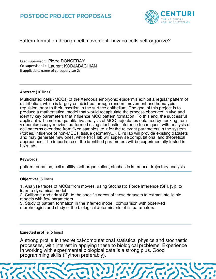 DynamicsLiving's tweet image. #CollectiveDynamics
Postdoctoral position in the research project &quot;Pattern formation through cell movement: how do cells self-organize?&quot; at The Turing Centre for Living Systems (CENTURI)
centuri-livingsystems.org/pdp2022-03/