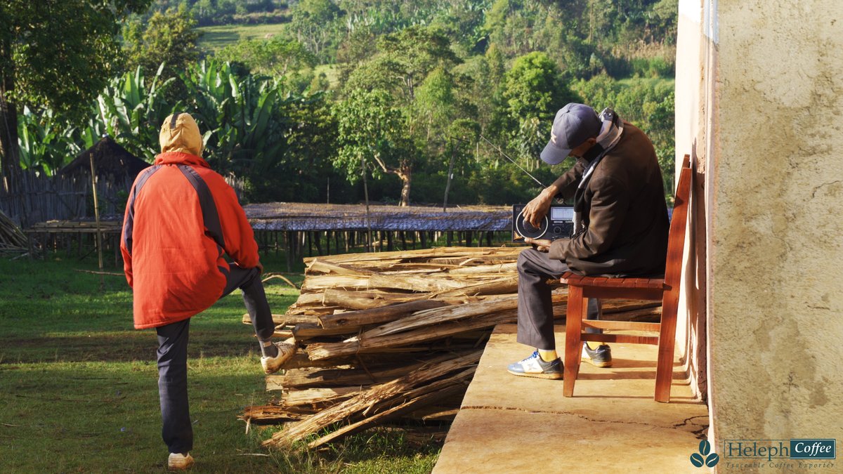 helephcoffee's tweet photo. "Great views are not meant to be captured. they are meant to be experienced".
Some of good view from Ayle washing station. Every morning starts a new page in life.
#helephcoffee #ethiopiancoffee #sidamacoffee #washedcoffee #naturalcoffee #coffee #coffeeexport https://t.co/V7AKdF3UBq