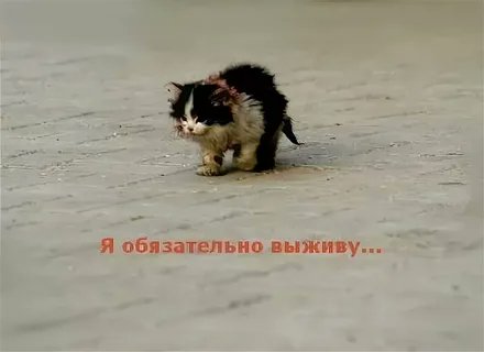krendelblin's tweet photo. Когда маршрутка переполнена, а тебе выходить на следующей остановке: https://t.co/2BTuHEbYzp