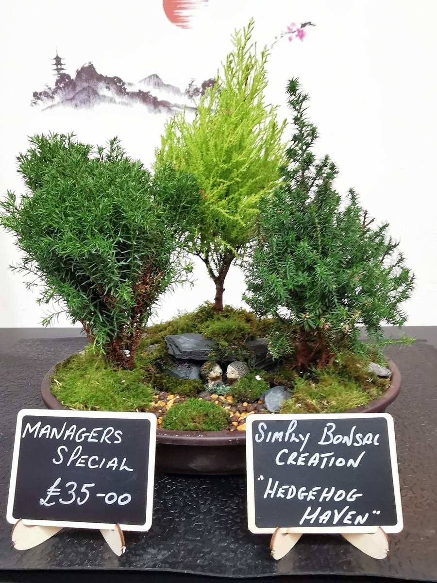 One of own creations, relaxation therapy at its best ❤️ #MentalHealthMatters #MentalHealthAwareness #mentalhealth #Bonsai #naturelovers