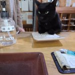 koboのツイート画像