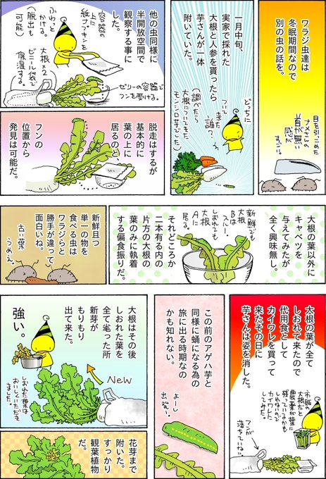 芋虫 を含むマンガ一覧 ツイコミ 仮